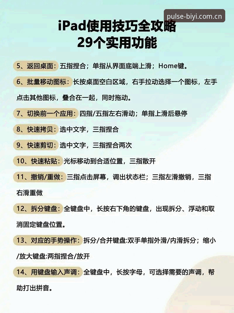 必一体育平台使用完整指南：从下载到进阶的专业教程